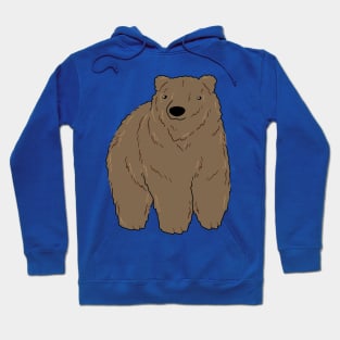 Cute Grizzly Bear Hoodie